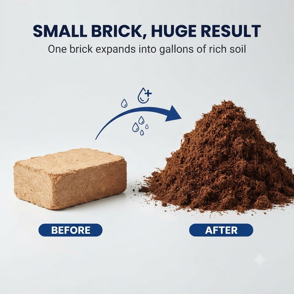 Stop Losing Plants to Heavy, Soggy Soil.