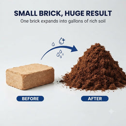 Stop Losing Plants to Heavy, Soggy Soil.